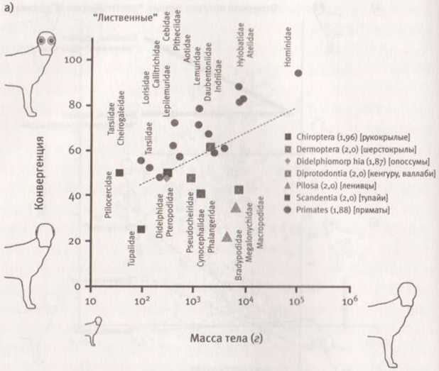 Иллюстрация к книге — Революция в зрении. Что, как и почему мы видим на самом деле [img_39.jpg]