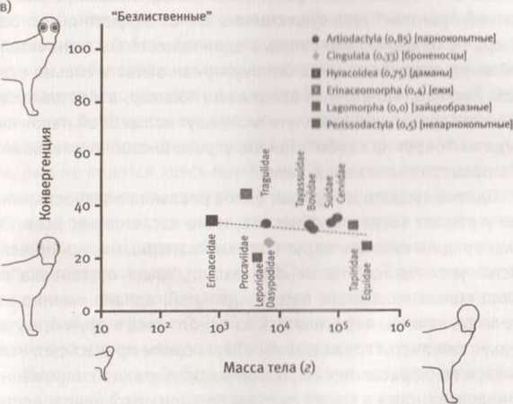 Иллюстрация к книге — Революция в зрении. Что, как и почему мы видим на самом деле [img_41.jpg]