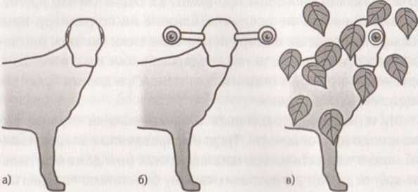 Иллюстрация к книге — Революция в зрении. Что, как и почему мы видим на самом деле [img_42.jpg]