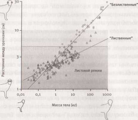 Иллюстрация к книге — Революция в зрении. Что, как и почему мы видим на самом деле [img_44.jpg]