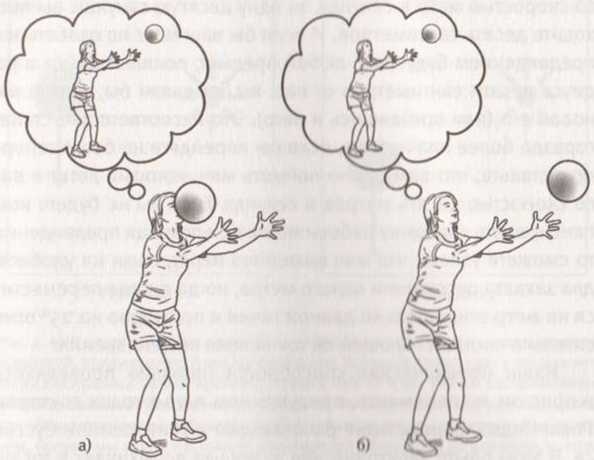 Иллюстрация к книге — Революция в зрении. Что, как и почему мы видим на самом деле [img_48.jpg]