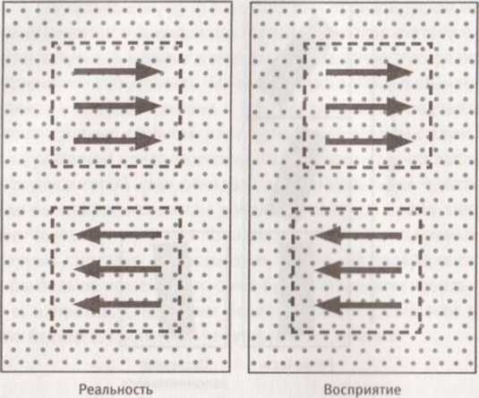 Иллюстрация к книге — Революция в зрении. Что, как и почему мы видим на самом деле [img_51.jpg]