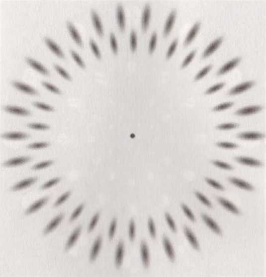 Иллюстрация к книге — Революция в зрении. Что, как и почему мы видим на самом деле [img_62.jpg]