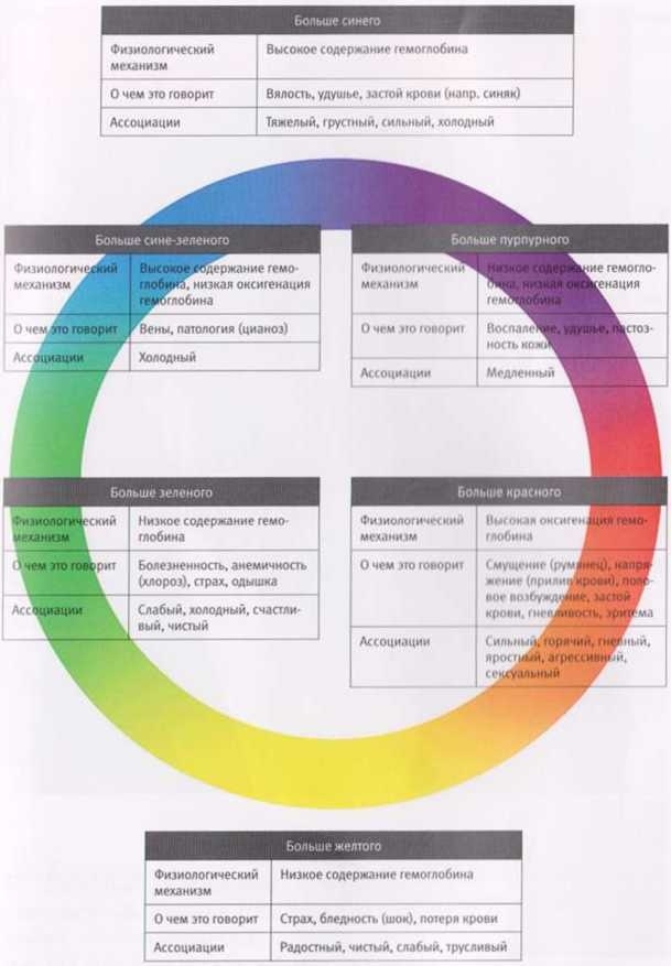 Иллюстрация к книге — Революция в зрении. Что, как и почему мы видим на самом деле [img_7.jpg]