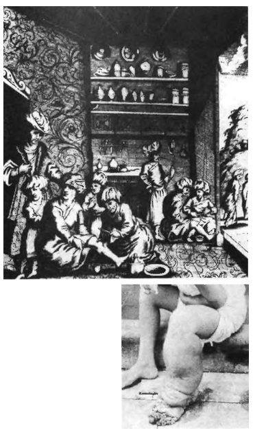 Иллюстрация к книге — Паразит - царь природы. Тайный мир самых опасных существ на Земле [img42ee.jpg]