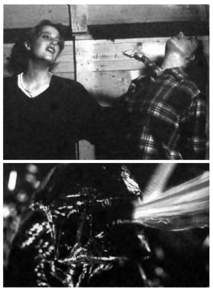 Иллюстрация к книге — Паразит - царь природы. Тайный мир самых опасных существ на Земле [img9bdb.jpg]