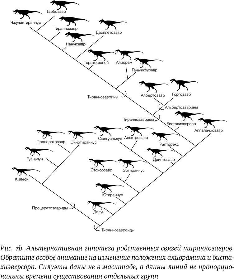 Иллюстрация к книге — Хроники тираннозавра. Биология и эволюция самого известного хищника в мире [i_015.jpg]