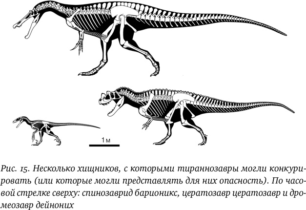 Иллюстрация к книге — Хроники тираннозавра. Биология и эволюция самого известного хищника в мире [i_028.jpg]