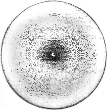Иллюстрация к книге — Самая главная молекула. От структуры ДНК к биомедицине XXI века [_1.jpg]