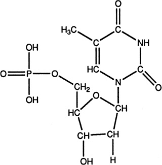 Иллюстрация к книге — Самая главная молекула. От структуры ДНК к биомедицине XXI века [_10.jpg]