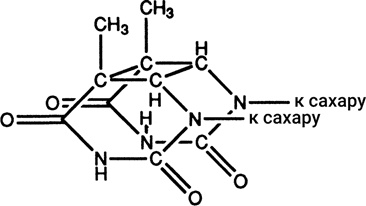 Иллюстрация к книге — Самая главная молекула. От структуры ДНК к биомедицине XXI века [_11.jpg]