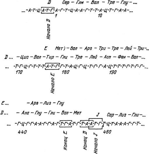 Иллюстрация к книге — Самая главная молекула. От структуры ДНК к биомедицине XXI века [_19.jpg]