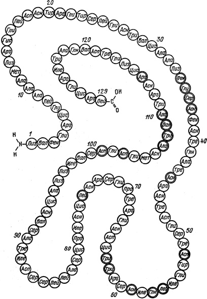 Иллюстрация к книге — Самая главная молекула. От структуры ДНК к биомедицине XXI века [_2.jpg]