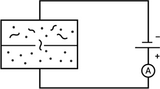 Иллюстрация к книге — Самая главная молекула. От структуры ДНК к биомедицине XXI века [_24.jpg]