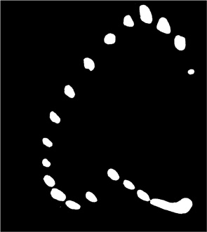 Иллюстрация к книге — Самая главная молекула. От структуры ДНК к биомедицине XXI века [_38.jpg]