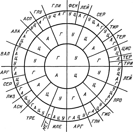 Иллюстрация к книге — Самая главная молекула. От структуры ДНК к биомедицине XXI века [_8.jpg]