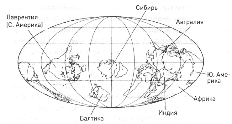 Иллюстрация к книге — Трилобиты. Свидетели эволюции [i_040.jpg]
