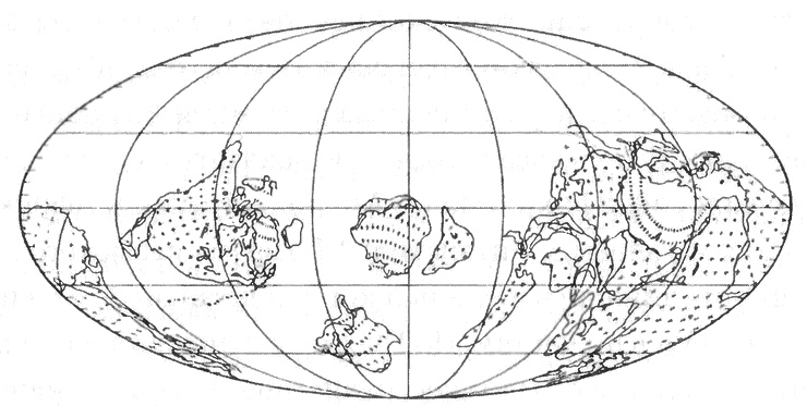 Иллюстрация к книге — Трилобиты. Свидетели эволюции [i_041.jpg]