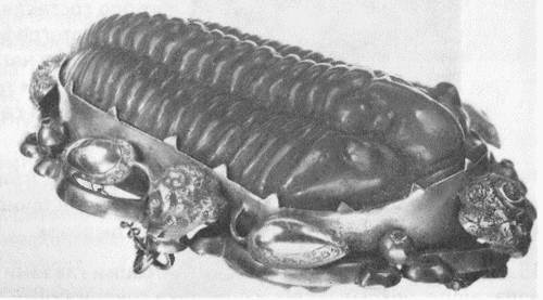 Иллюстрация к книге — Трилобиты. Свидетели эволюции [i_085.jpg]