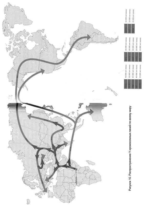 Иллюстрация к книге — Генетическая одиссея человека [i_013.jpg]