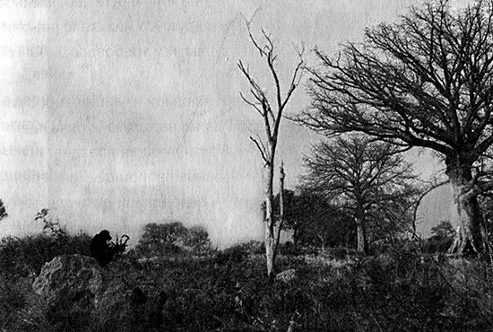 Иллюстрация к книге — Хозяева Земли. Социальное завоевание планеты человечеством [i_004.jpg]