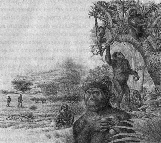 Иллюстрация к книге — Хозяева Земли. Социальное завоевание планеты человечеством [i_009.jpg]