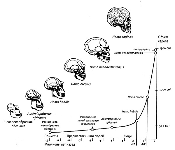 Иллюстрация к книге — Хозяева Земли. Социальное завоевание планеты человечеством [i_014.jpg]