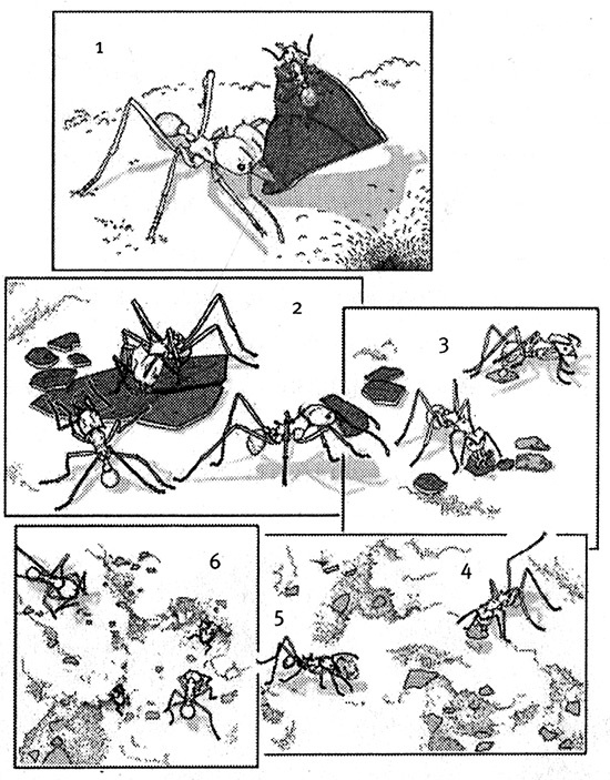 Иллюстрация к книге — Хозяева Земли. Социальное завоевание планеты человечеством [i_028.jpg]