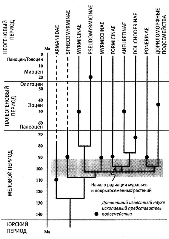 Иллюстрация к книге — Хозяева Земли. Социальное завоевание планеты человечеством [i_031.jpg]