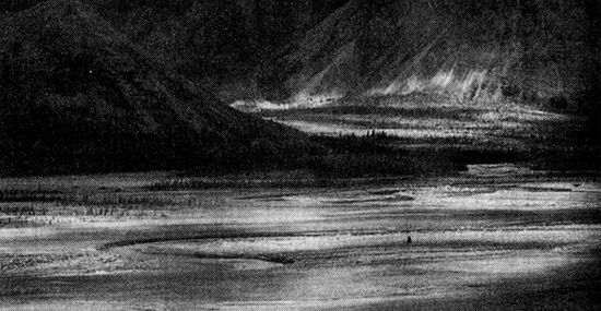 Иллюстрация к книге — Хозяева Земли. Социальное завоевание планеты человечеством [i_050.jpg]