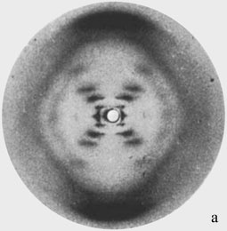 Иллюстрация к книге — Геном человека: Энциклопедия, написанная четырьмя буквами [i_004.jpg]