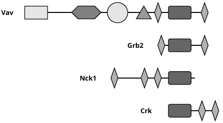 Иллюстрация к книге — Геном человека: Энциклопедия, написанная четырьмя буквами [i_030.jpg]