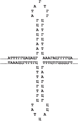 Иллюстрация к книге — Геном человека: Энциклопедия, написанная четырьмя буквами [i_032.jpg]