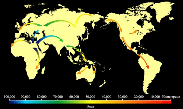 Иллюстрация к книге — Геном человека: Энциклопедия, написанная четырьмя буквами [i_046.jpg]