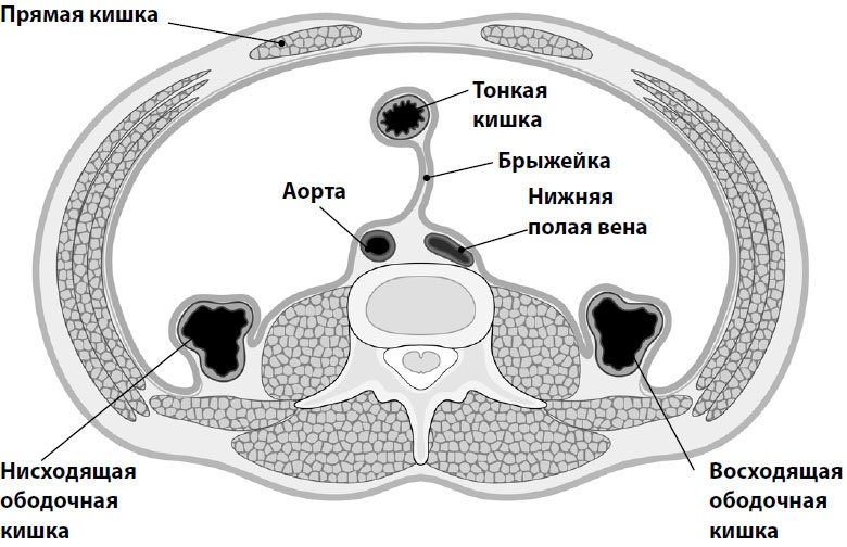 Иллюстрация к книге — Пора лечиться правильно. Медицинская энциклопедия [i_005.jpg]