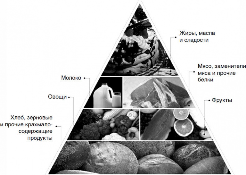 Иллюстрация к книге — Пора лечиться правильно. Медицинская энциклопедия [i_032.jpg]