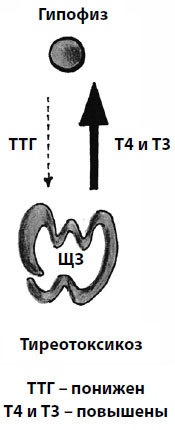 Иллюстрация к книге — Пора лечиться правильно. Медицинская энциклопедия [i_047.jpg]