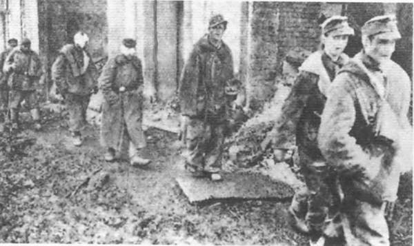 Иллюстрация к книге — Восточный фронт. Черкассы. Тернополь. Крым. Витебск. Бобруйск. Броды. Яссы. Кишинев. 1944 [i_021.jpg]