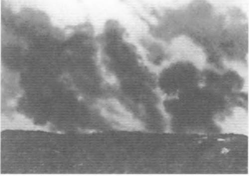 Иллюстрация к книге — Восточный фронт. Черкассы. Тернополь. Крым. Витебск. Бобруйск. Броды. Яссы. Кишинев. 1944 [i_028.jpg]