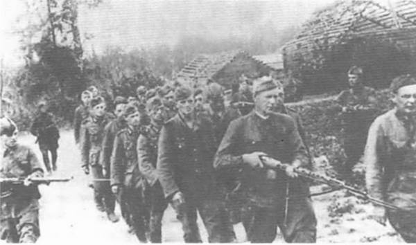 Иллюстрация к книге — Восточный фронт. Черкассы. Тернополь. Крым. Витебск. Бобруйск. Броды. Яссы. Кишинев. 1944 [i_060.jpg]