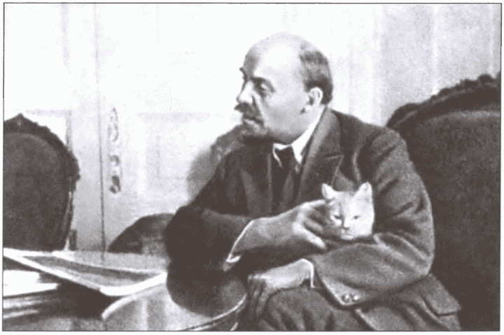 Иллюстрация к книге — Брестский мир. Ловушка Ленина для кайзеровской Германии [i_015.jpg]