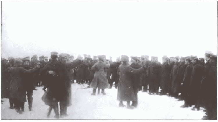 Иллюстрация к книге — Брестский мир. Ловушка Ленина для кайзеровской Германии [i_016.jpg]