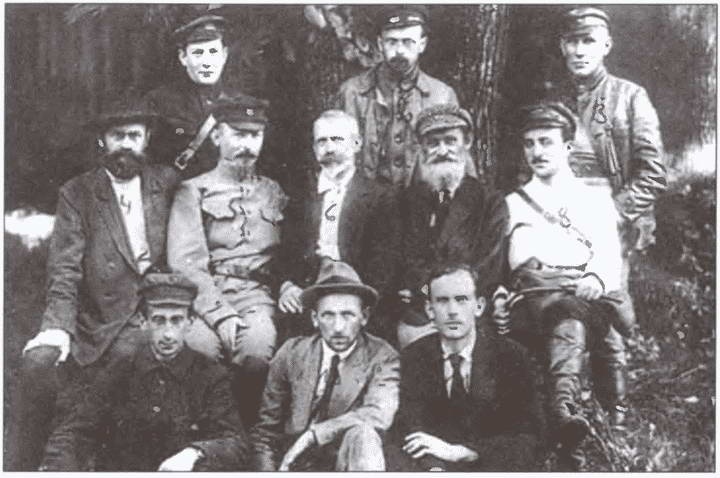 Иллюстрация к книге — Брестский мир. Ловушка Ленина для кайзеровской Германии [i_032.jpg]