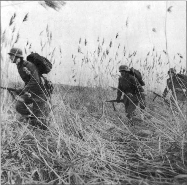 Иллюстрация к книге — Wehrmacht. Сухопутные войска III Рейха [i_006.jpg]