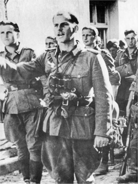 Иллюстрация к книге — Wehrmacht. Сухопутные войска III Рейха [i_021.jpg]