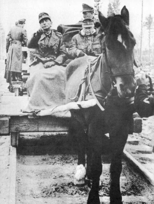 Иллюстрация к книге — Wehrmacht. Сухопутные войска III Рейха [i_033.jpg]