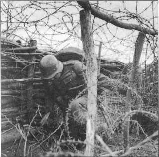 Иллюстрация к книге — Wehrmacht. Сухопутные войска III Рейха [i_045.jpg]