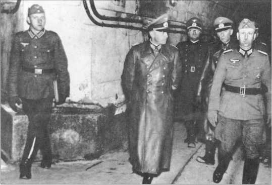 Иллюстрация к книге — Wehrmacht. Сухопутные войска III Рейха [i_050.jpg]