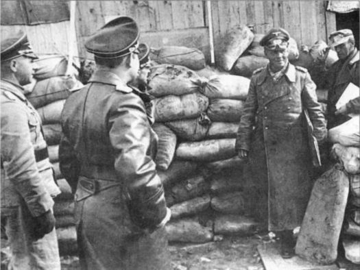 Иллюстрация к книге — Wehrmacht. Сухопутные войска III Рейха [i_067.jpg]