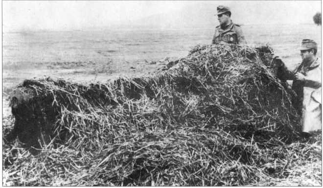 Иллюстрация к книге — Wehrmacht. Сухопутные войска III Рейха [i_083.jpg]